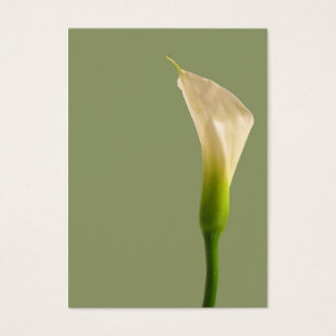 Carte de vert sauge de zantedeschia