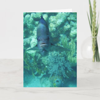 Carte de Visage-à-Poisson