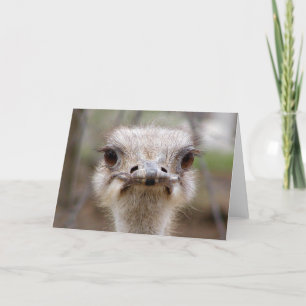 Carte de visage Ostrich