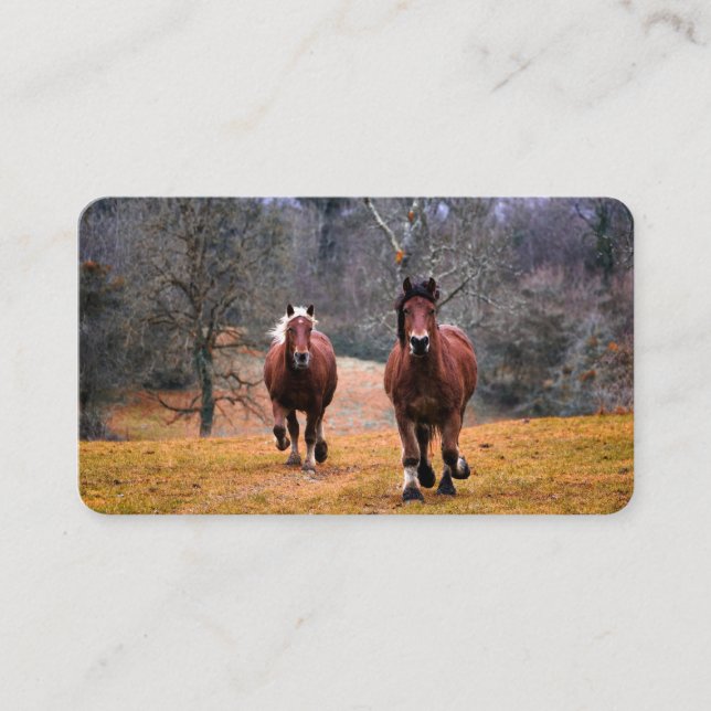 Carte de visite (Devant)