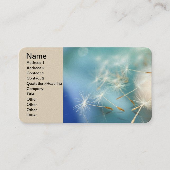  Carte de visite (Devant)