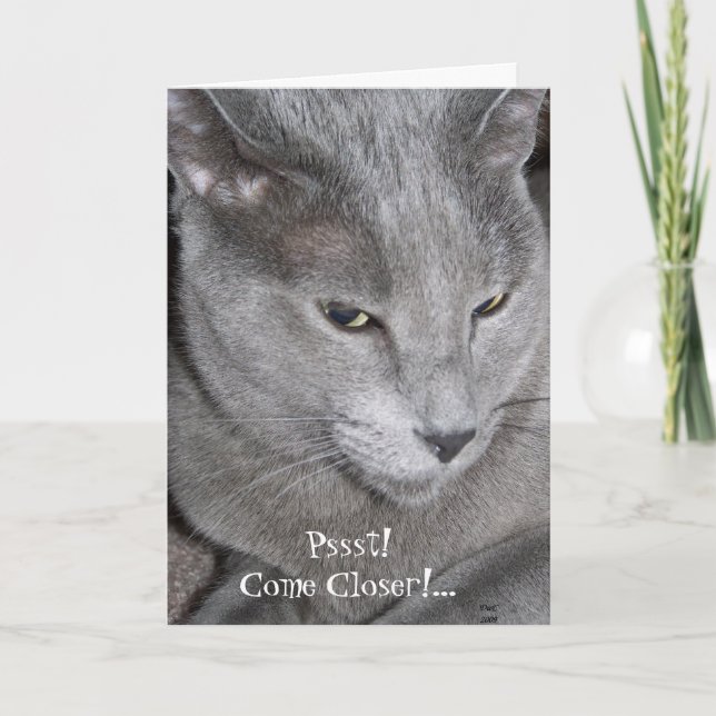 Carte de visite (Devant)