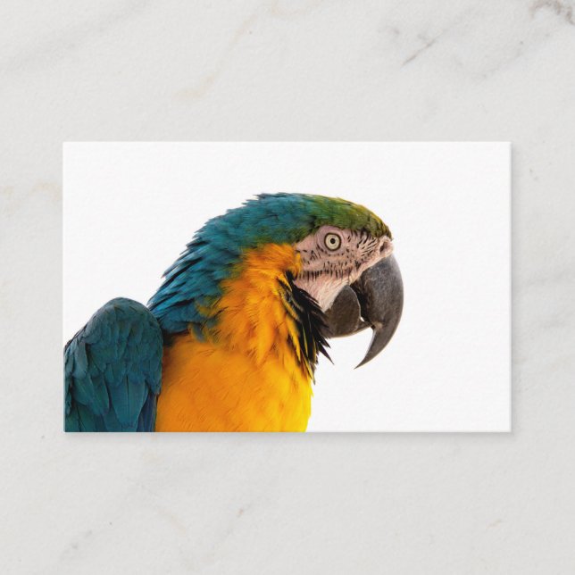 Carte de visite (Devant)