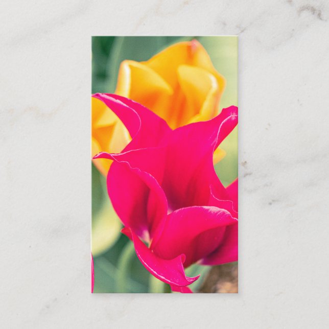 Carte de visite (Devant)