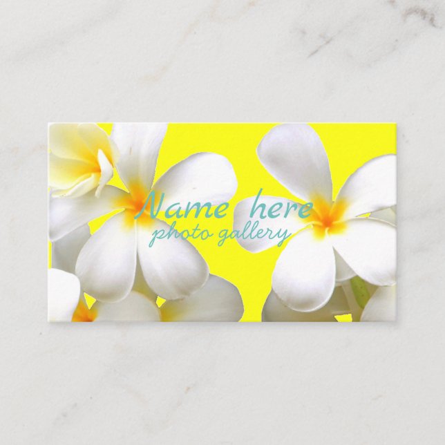 Carte De Visite 米スタンダード 8.89cm x 5.08cm名刺 (Devant)