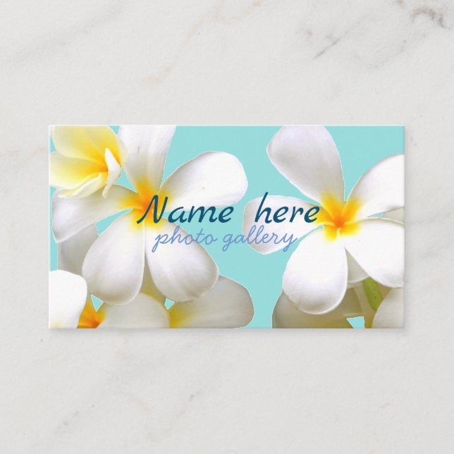 Carte De Visite 米スタンダード 8.89cm x 5.08cm名刺 名刺 (Devant)