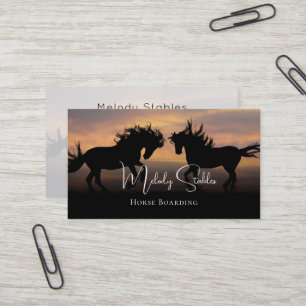 Carte De Visite 2 Chevaux sauvages Silhouette Photo