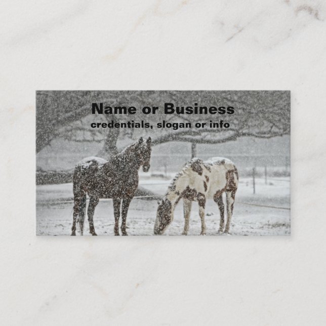 Carte De Visite 2 Horses Outside en hiver (Devant)