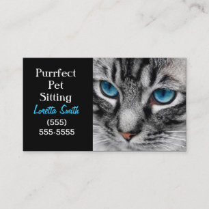 Carte De Visite A-PAL - Le chat tigré argenté avec des yeux bleus