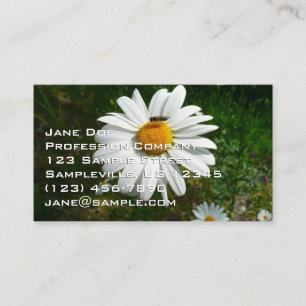 Carte De Visite Abeille sur Marguerite Photo de la Nature d'Été en
