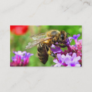 Carte De Visite Abeilles à vendre