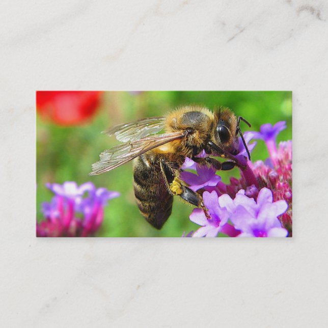 Carte De Visite Abeilles à vendre (Devant)