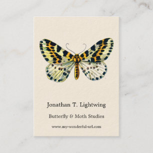 Carte De Visite Abraxas grossulariata, Image de couleur de la teig