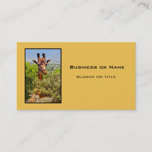 Carte De Visite Adorable Giraffe Poking His Head Above The Trees