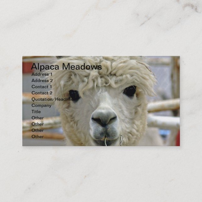 Carte De Visite Adorable prairie d'Alpaca (Devant)