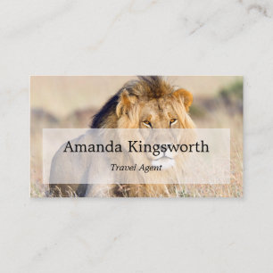 Carte De Visite Africain Safari Travel agent professionnel