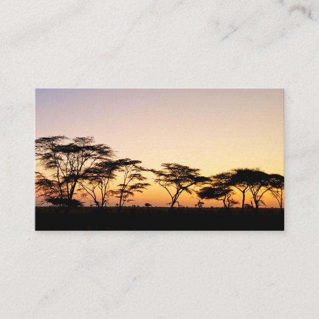 Carte De Visite Afrique - Coucher de soleil (Devant)