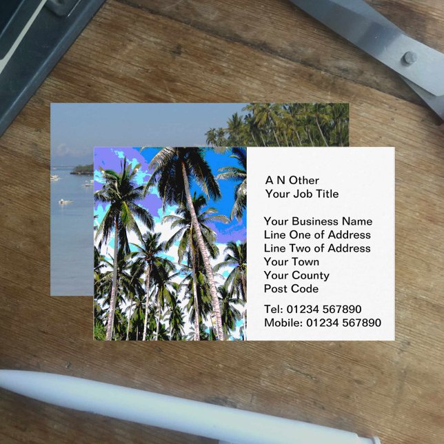 Carte De Visite Agents de voyage (Créateur téléchargé)