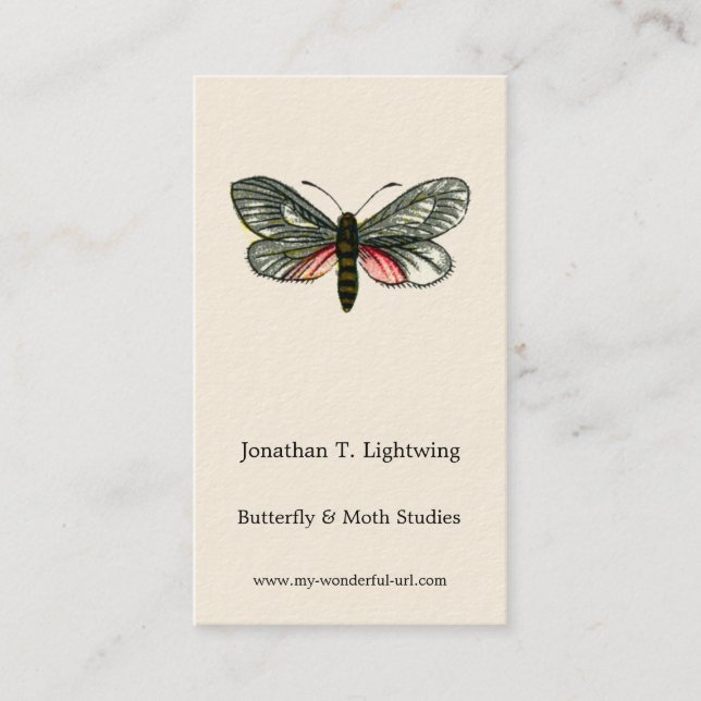 Carte De Visite Aglaope infausta - Skeletoniseur de feuilles d'ama (Devant)