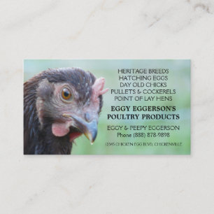 Carte De Visite Agriculteur d'oeufs de poulet de poule de rouge