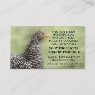 Carte De Visite Agriculteur interdit d'oeufs de poulet de roche