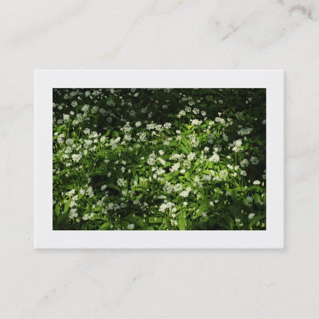 Carte De Visite Ail Sauvage (Bordé) (Devant)