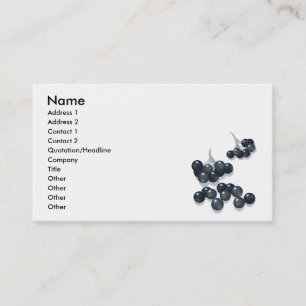 Carte De Visite airelles