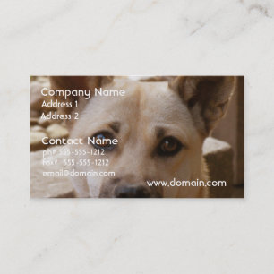 Carte De Visite Akita doux