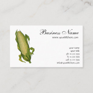 Carte De Visite Aliments Anciens, Légumes Sains, Épi de Maïs
