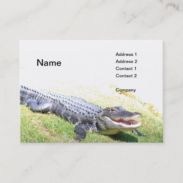 Carte De Visite alligator américain (Devant)