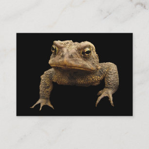 Carte De Visite American Toad ATC