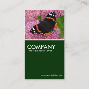 Carte De Visite Amiral rouge sur Sedum (Joie d'automne) - Vert fon