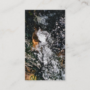 CARTE DE VISITE ANGEL