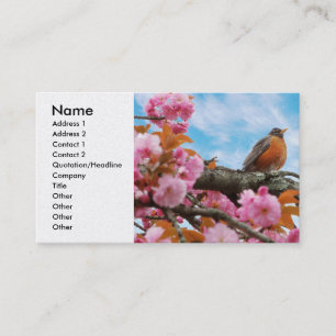 Carte De Visite Animal - Bird - First robin of spring