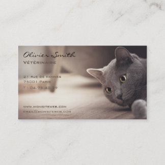 Carte De Visite Animal de compagnie, beau chat.