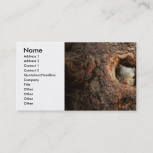 Carte De Visite Animal - Écureuil - Je ne suis pas timide Je suis