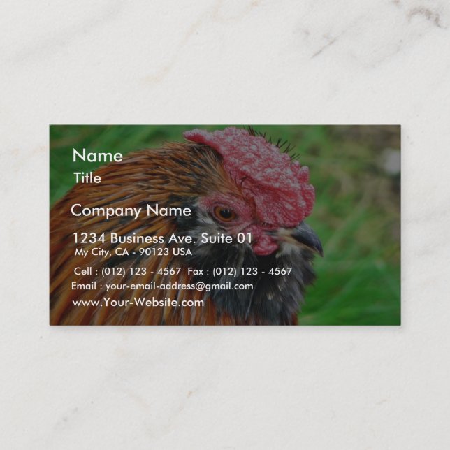 Carte De Visite Animal petit de poule (Devant)