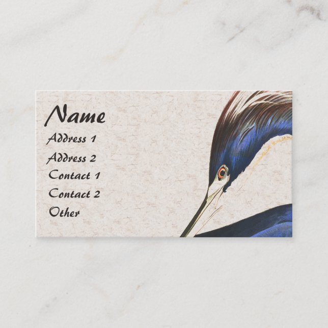 Carte de visite animalier Audubon Heron Bird (Devant)