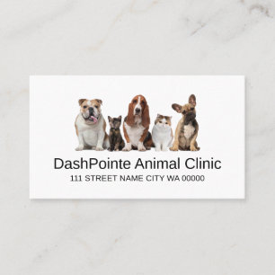 Carte De Visite Animaux de compagnie Clinique Abri Vétérinaire Voi