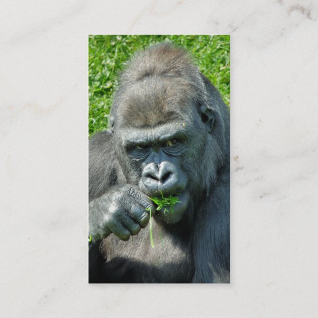 CARTE DE VISITE ANIMAUX SAUVAGES - GORILLAS (Devant)