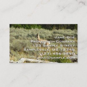 Carte De Visite Antilocapre dans le parc national de Grand Teton