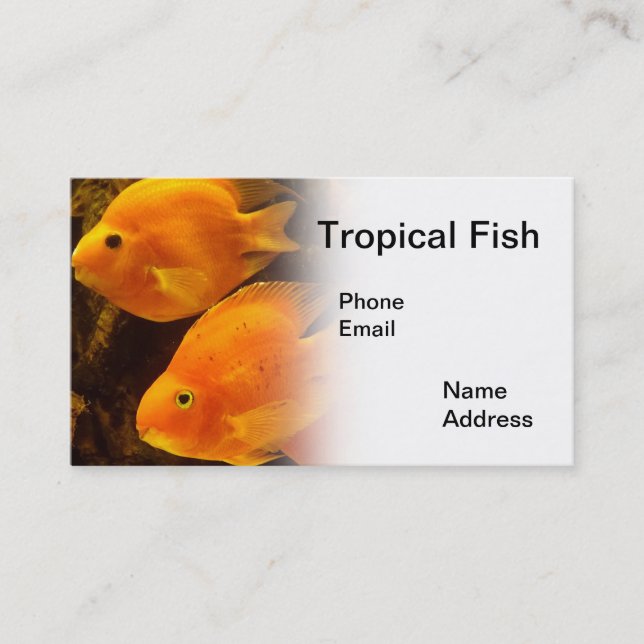 Carte De Visite Aquarium avec de beaux poissons oranges tropicaux (Devant)