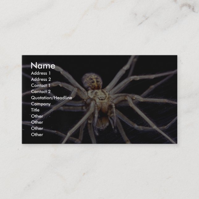 Carte De Visite Araignée menaçante toxique de reclus (Devant)