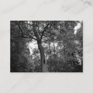 Carte De Visite Arbre avec un trou mystérieux