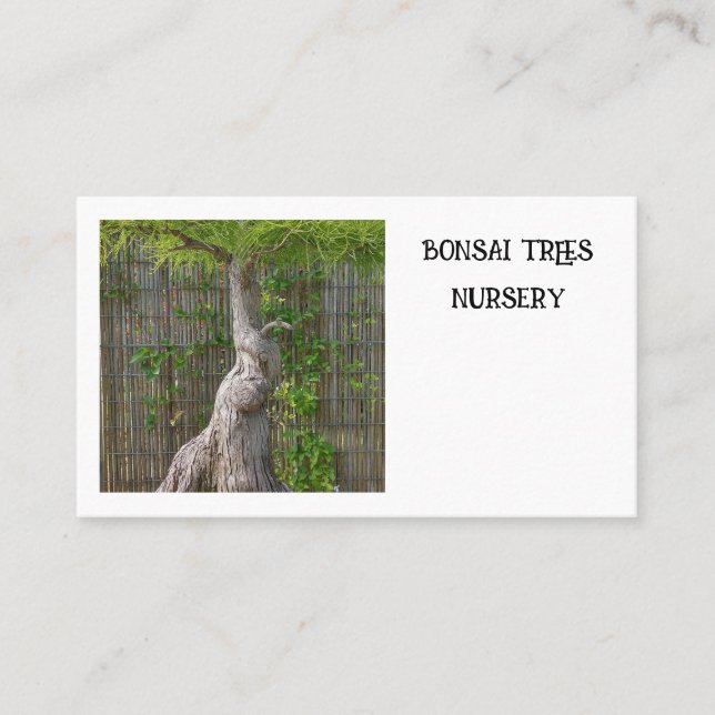 Carte De Visite Arbre bonsaï (Devant)