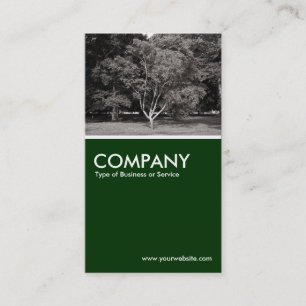 Carte De Visite Arbre Magnolia - BW chaud - Vert foncé