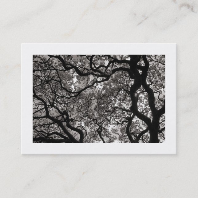 Carte De Visite Arbre Magnolia en Fleur 02 (Bordé) (Devant)