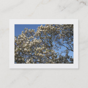 Carte De Visite Arbre Magnolia en Fleur (Bordé)