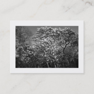 Carte De Visite Arbre Magnolia en Fleur (Bordé)
