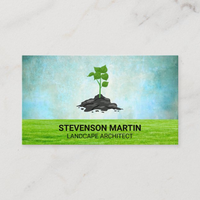 Carte De Visite Arbre planté | Pelouse herbacée | Paysage (Devant)